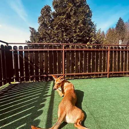 Karolinka Stroza - Pet Friendly *