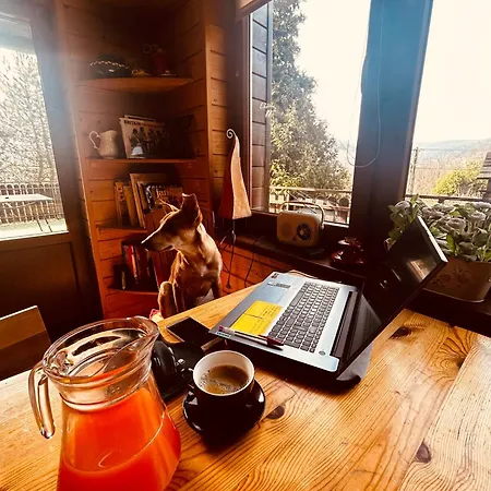 Feriehus Karolinka Stroza - Pet Friendly Myślenice