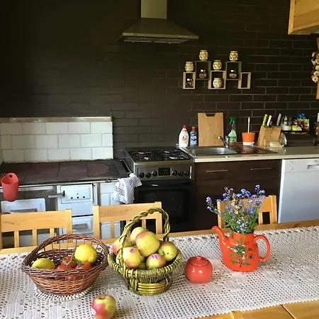 Karolinka Stroza - Pet Friendly