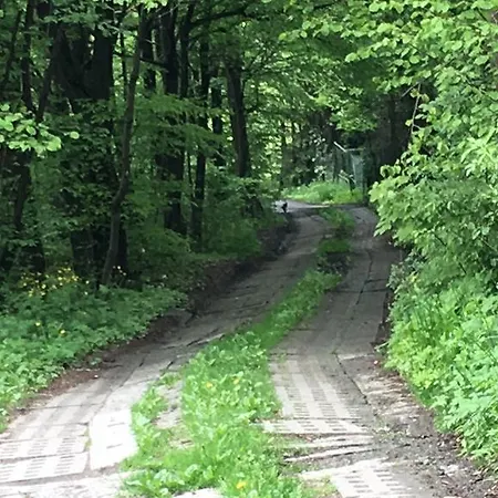 Karolinka Stroza - Pet Friendly Feriehus Myślenice