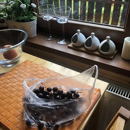 Karolinka Stroza - Pet Friendly * Myślenice