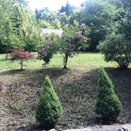 Karolinka Stroza - Pet Friendly *