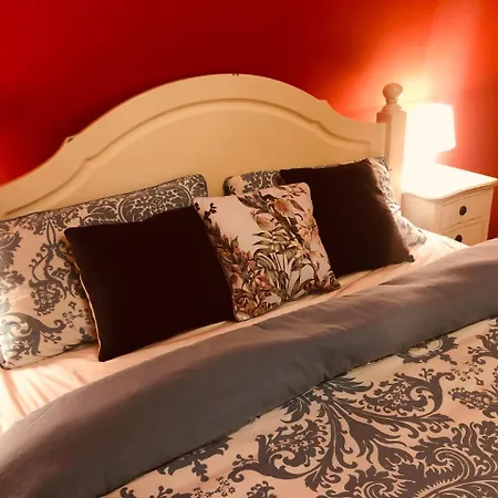 Karolinka Stroza - Pet Friendly