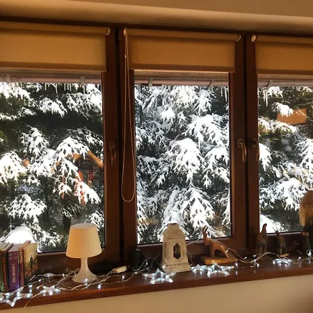 Karolinka Stroza - Pet Friendly Feriehus Myślenice