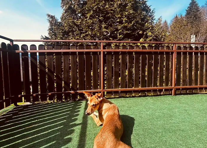 Karolinka Stroza - Pet Friendly *