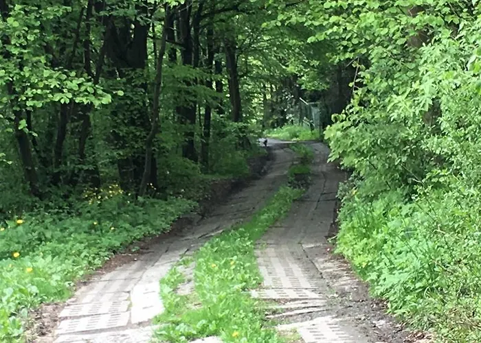 Karolinka Stroza - Pet Friendly בית נופש מישלניצה