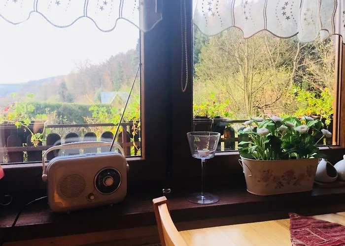 Karolinka Stroza - Pet Friendly