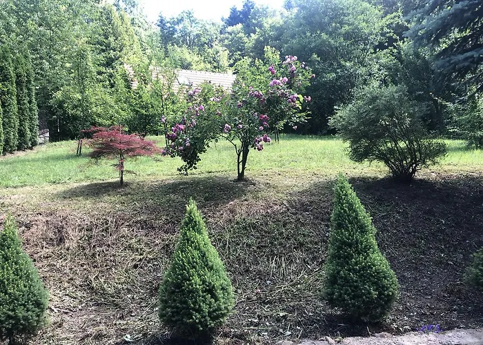 Karolinka Stroza - Pet Friendly *