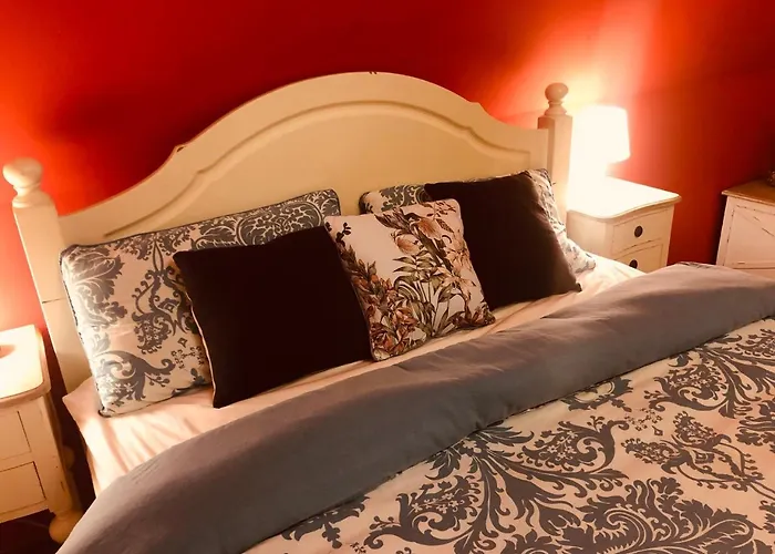 Karolinka Stroza - Pet Friendly