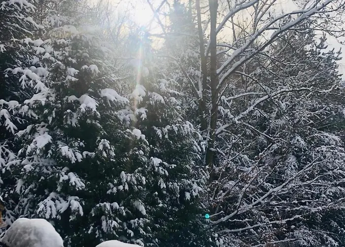 Karolinka Stroza - Pet Friendly מישלניצה